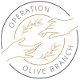 image for link to Operation Olive Branch