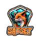 image for link to Satset Store
