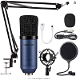 image for link to Budget: Condenser Microphone ZINGYOU