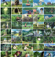 image for link to Studio Ghibli Green Collage Kit