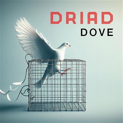 DOVE 🕊️ 

Our new single is finally here! 

Now available on all popular music streaming platforms. 

Links in our bio 👀!

#music #livemusic #gig #synthpop #band #driad #darkwave #80s #80smusic #mattbellamy #muse #depechemode #neworder #alternative #alternativerock #art #musicians #rock #dark #moody #goth #gothic