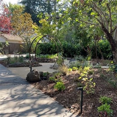 An update on this 3 month old "keyhole in a keyhole" garden in Menlo Park, CA... 👨‍👩‍👧‍👦👶👦

I absolutely love the sticky monkey flower plants that my clients added 🥰

💯Awesome trellises from @terrasculpture 
🌱 Plants from Ogawa
💪 Install by Anselmo and his crew
.
.
.
#siliconvalley #bayareagardening #bayareagardendesign 
#growyourownfood 
#landscapedesign #canativeplants #canativegarden #permaculture #fruitguilds #waterfeature #menlopark #sfbayarea #sensorygarden #educationalgarden #educationalprogram #homegarden #bayareagarden #bayareagardening #zone9 #pollinatorgarden #cutflowergarden