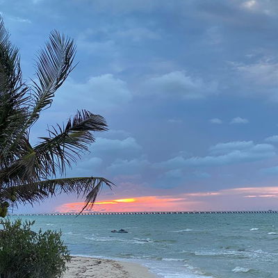 “P L A Y A”

#BeardedDood #Sunset #Progreso #Yucatan #Beach #Playa #Mexico #InstaGood #Instagram #Instalike #Photography