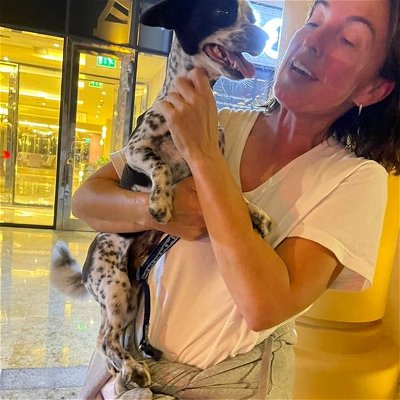 From the heart of the Czech Republic to the dazzling streets of Dubai, Kamang's journey of love and adventure continues! ✈️🏞️ After a pawsitively long flight, the moment of reunion with Mom was pure tail-wagging joy. 🐶❤️ Exploring the new city together, Kamang's nose is working overtime to take in all the exciting scents and sights. Here's to new beginnings and endless walks of discovery! 🐾🌆 #KamangsGlobetrottingTales #FromCzechToDubai #NewAdventuresAwait 

Special thanks to @Horizon Cargo and Lufthansa for taking care of Kamang during his departure and flight.

#PRG ✈ #DXB

#pawsomepetsuae #petrelocationsuae #ipata #petimportuae #petexportsuae #pettravel #petcargo #ata #airpets #internationalpetrelocation #petshippingexperts