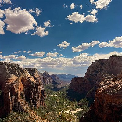 Not bad for an iPhone pic. This is the view from the top of the famous Angels Landing hike in Zion National Park.