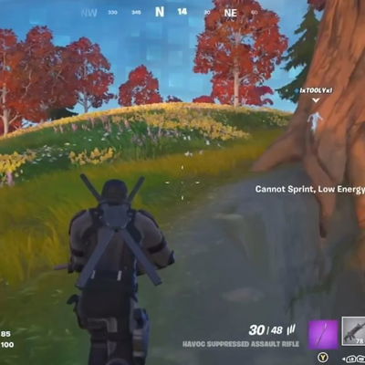 When even the small things are still fun 🌳⛏️

For more content follow @areonnaswrld on twitch 
#fortnite #fortniteclips #nostalgia #fortnitefunny #fortnitememe #gaming #twitch #streamer #gamergirl