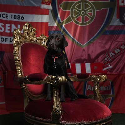 Rooting against Arsenal means rooting against all the Good Boys and Good Girls of the world. 

#Win #coyg🔴⚪️ #keepaustingooner #austingooners #wwwatx #do512