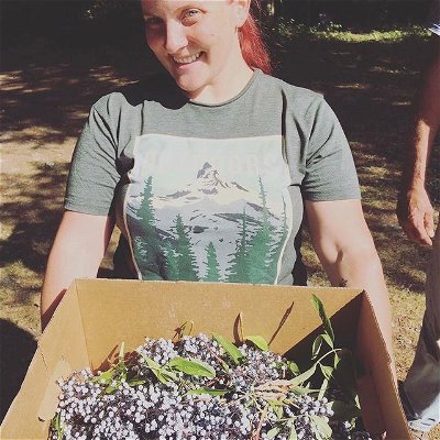 Western Washington Herbal Training! 85 hours of training in person, mentoring in between class, home study, wild food meals and herbs that you take home for personal use. Small group size.
One week left to apply for the $500 scholarship! We will be closing enrolment shortly afterward.
Training includes:
Plant and habitat identification: Know how to find your harvest sites and fine tune your identification in 3 seasons.
Apothecary Studies and Medicine Making: Make exquisite medicines and know what to do with them. Skill and confidence with practice.
Build your home/biz inventory: Harvest pristine plants from glorious places that YOU TAKE HOME. This perk is worth hundreds of dollars.
Applications and practice: Hands on practice of applying herbal medicines, choosing remedies, dosages
Somatics: Drop dosing, formulas, deep listening. Profoundly personal work for self and clients
Home study between class in person training.
Questions? Call or email and we will answer. 360.391.2706
Hype is done now, folks. Sign up if you are feeling called.
🍃
Link is in the bio.
#pnw #herbschool #training #apothecarystudies #herbalmedicinemaking #herbclass #wildcraft #herbalisttraining #skagit #plantID #seattleherbclass #herbalmedicine #plantmedicine #plantsofinstagram #bioregionalherbs