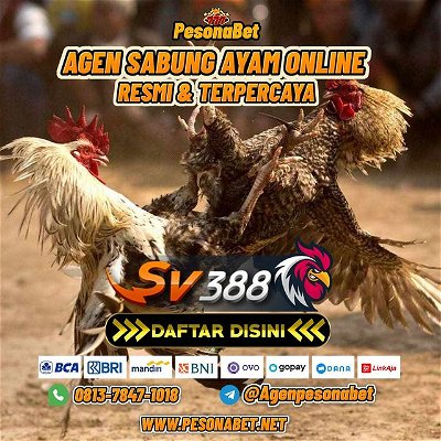 Sv388: Agen Sabung Ayam Online Resmi & Terpercaya Sv388 Indonesia

#Sv388 #sabungayamonline #sv388resmi #sv388terpercaya #pesonabet
