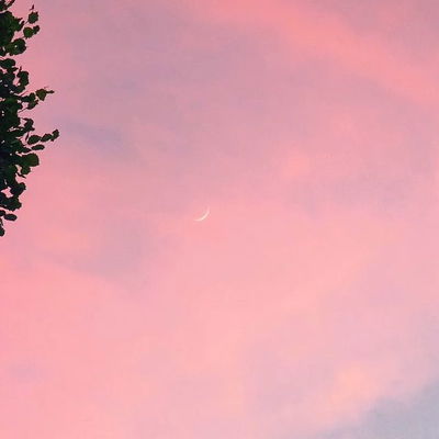 🩷 pink skies 🩷