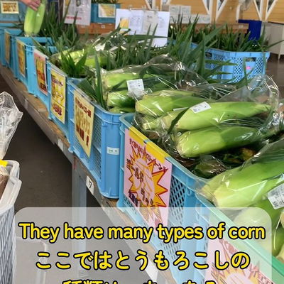 Btw the corn was so sweet, I can say it's dessert instead of veggie🍬🍬
话说回来北海道的玉米也太好吃了！重点是好！便！宜！（普通300円这里只需要100円😍😍）

#japanfoodie #travelhokkaido #hokkaidofood #freshveggies #funjapantravel #explorejapan2023 #explorehokkaido #lifeinjapan #japanculture #japanunique #japantrip2023 #tripwithfriends #hokkaidosummer #hokkaidotrip