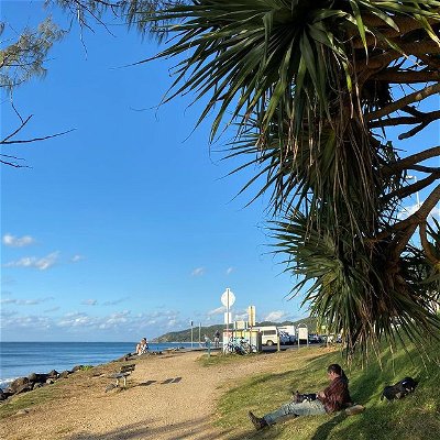 How great is Byron? Loving the Dragon trees.... 
🏝🌴🍃🏄🏻‍♂️

#byronbay #dragontree #draecenadraco #trees #beach #beachvibes #byron #nature #shortbreak