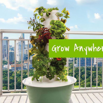 People are looking for things to do at home 🍃🌸🍅. Here is an activity that is both healthy and fruitful (pun intended): "Meet the home gardening system that lets you grow fresh, nutritious fruits, vegetables, herbs, and flowers anytime, anywhere." #garden #towergarden
https://progressivetree.com/tower-garden/