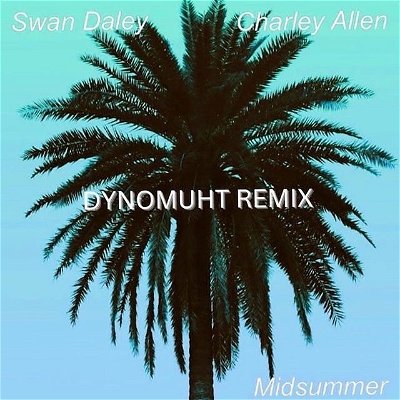 The “Midsummer Remix” is now available for your listening pleasure! S\O to @swan.daley & @the_charley_allen for letting me flip the original.. 🐕💥 LINK IN MY BIO