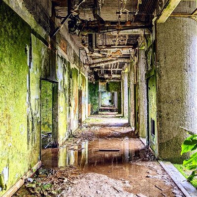 This was the busiest #abandoned place I've ever been to. Very interesting tho.

#azores #urbex