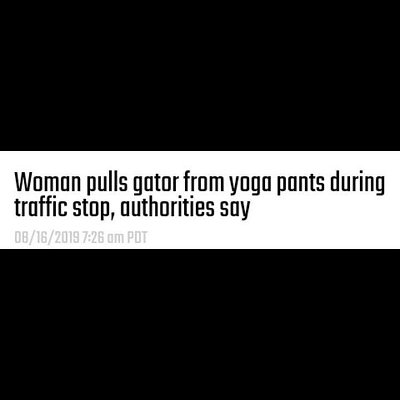 Dear Noob Diary... Don't keep gators in your yoga pants and get pulled over.... #noobs #dear #diaries #noobdiaries #dearnoobdiaries