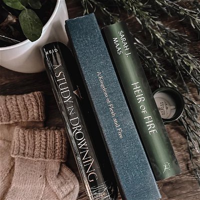 ✨My current reads✨
.
From left to right:
• A Study in Drowning by @avasreid 
• A Kingdom of Flesh and Fire by @jennifer_l_armentrout 
• Heir of Fire by @therealsjmaas 
.
Have you read any of these? I’ve got a very green theme going on here. I hope everyone is doing as good as they can 🖤
.
.
.
#bookrecommendations #booksbooksbooks #books #heiroffire #kingdomoffleshandfire #fantasyromance #throneofglass #acotar #frombloodandash #fbaa #romantasy #currentreads #reading #booklover #bookstagram #booktok #bookrecs