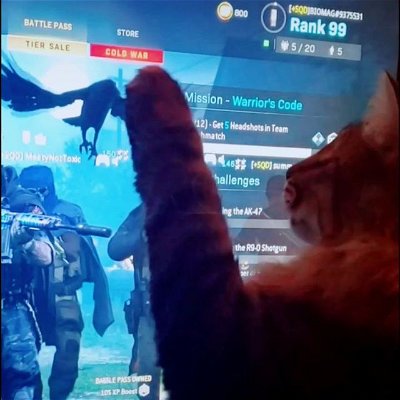 He may look cute and innocent, but kitty is a stone cold killer 🦁
#mrkitty #leothelion
•
•
•
#kitty #cat #tiktok #catsofinstagram #cats #catstagram #tiktokviral #biomag #biomania #gaming #gamer #streaming #streamer #games #playstation #game #modernwarfare #warzone #streamersunite #videogames #twitch #pc #microsoft #xbox #youtube #gamers #nintendo