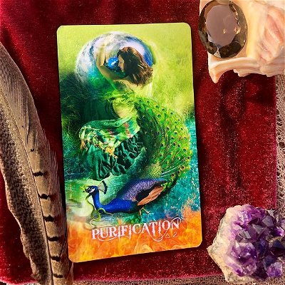 PURIFICATION, Find The Light Within Darkness~
Like how a peacock consumes poisonous snakes and converts the toxins to pigment for their feathers, we also must convert toxic thoughts and energy within us to positive. The Purification card is a reminder that we are in control of our own emotions and reactions, and to unplug and disconnect resentment, jealousy, and blame. This card is a message that we are becoming more than and our past traumas.

Take time to reflect and be aware of the progress you’ve made. Presence is the key to Purification, as self-awareness allows us to stop and convert toxic, negative thoughts. Practice affirmations like “I have the power to completely control my emotions,” and help yourself believe in that. When we have the ability to unplug our triggers, rise above envy and competition, and transmute our toxic feelings, we reach a new state of enlightenment. 

Featuring the Transformation Oracle by Sonya Shannon 

#transformationoracle #oraclecards #tarot #purification #alchemy #peacock #crystals #healing