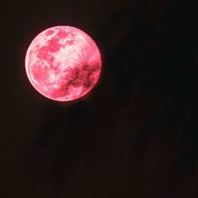 Happy Full Pink Moon 2022! Named the Pink Moon in anticipation of Spring and the colorful flowers, this years pink moon is in Libra. Ruled by Venus, Libra is about beauty, harmony, and balance. This will effect the parts of your birth chart that include Libra. My moon sign is Libra, and I have been soooo looking forward to this Pink full moon in Libra! 

Today is an excellent time to honor your intuition, pay attention to signs and omens, and full moons are an excellent time to step into your magical power! Around this time I also like to reflect on the intention I’d like to set for my next moon cycle. 

Have a blessed full moon tonight! 
.
.
.
.
.
#pinkmoon #fullmoon #moonmagic #astrology #transformationoracle