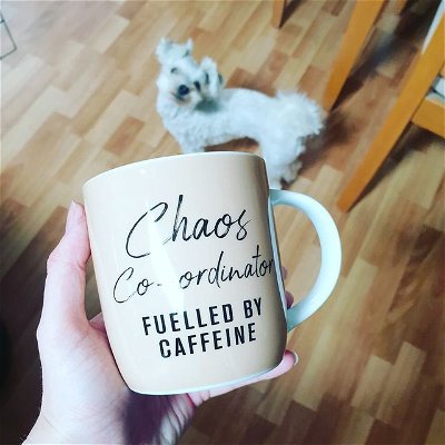 ☕🐕 #chaos #caffeine #puppy