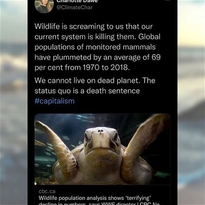 📢 Swipe to learn about the WWF’s recent report on wildlife decline.