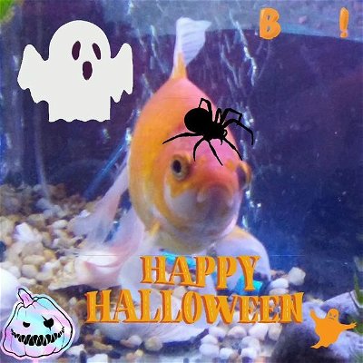 Happy Halloween Beastronic Humans....#beastronic #beastrons #2lovelyassistants #comet #goldfishofinstagram #goldfish  #graveltiger #phelps #happyhalloween