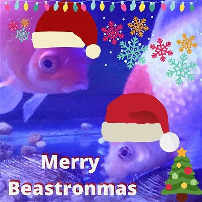 Merry Beastronmas Beastronic Humans...#beastronic #beastrons #2lovelyassistants #comet #goldfishofinstagram #goldfish #jaws #jawsattack #graveltiger #phelps #merrychristmas #merrybeastronmas