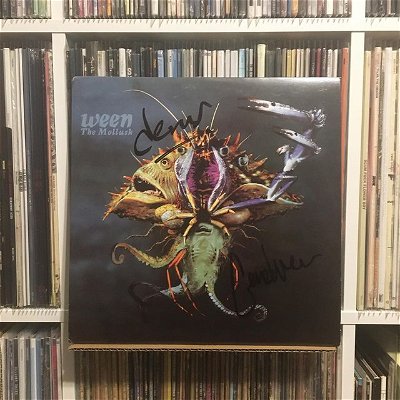 Day 5 “Album By Your Favorite Band” : Ween - The Mollusk, signed by the great Gener and Deaner. #RADHolidayContest #Ween #TheMollusk #EnjoytheRideRecords #vinyl #signedvinyl #vinylcollection #brown
