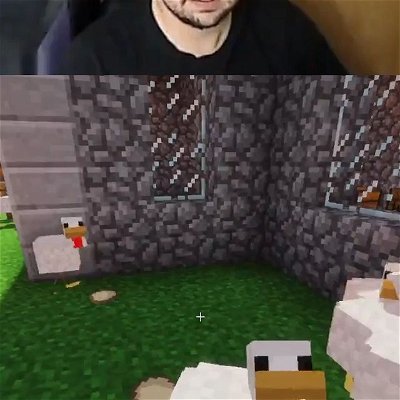 Chickenfornication #minecraft #RLCraft #drtoadstool #Drtoad #Twitch #twitchstreamer #twitchclips #twitchmoments #minecraftmemes #chicken