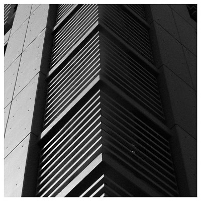 Lines
📸 .
.
.
.
.
.

#photography #canon80d #canon #canonphotography #florida #tampa #riverwalk #50mm #lightroom #lightroomedits #blackandwhite #cityscape #building #downtowntampa #canon📷