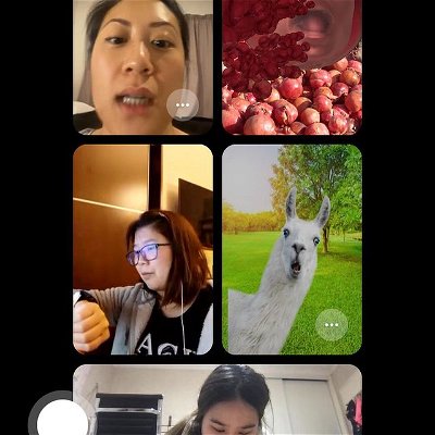 Tell me the committee discovered filters on fb call without telling me the committee discovered filters on fb call #level3 
.
.
.
#kiwiasian #kiwi #nz #auckland #youngprofessionals #asiandiaspora #networking #event #aapi #chinese #nzchinese