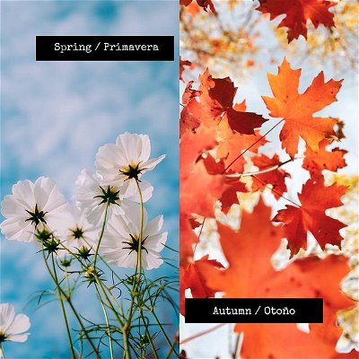 For us it is "Autumn", but for the other side of the world, it is "Spring". Do you know how to name the rest of the seasons? 🌸 🍁
⠀⠀⠀⠀⠀⠀⠀⠀⠀
⠀⠀⠀⠀⠀⠀⠀⠀⠀
⠀⠀⠀⠀⠀⠀⠀⠀⠀
#englishpronunciation⁣⁣
#aprenderinglês⁣
#instaenglish⁣⁣
#englishvocabulary⁣⁣
#englishwords⁣⁣
#cursodeingles⁣⁣
#englishtips⁣⁣
#aprenderingles⁣⁣
#영어회화⁣⁣
#eslteacher⁣⁣
‎#زبان_انگلیسی⁣⁣
#vocab⁣⁣
#languagelearning⁣⁣
#英会話⁣⁣
#idiomas⁣⁣
‎#زبان⁣⁣
#영어⁣⁣
#englishteacher⁣⁣
#grammar⁣⁣
#esl⁣⁣
#海外留学
‎#مدرس⁣⁣
‎#معلم
#englishcourse
#studyenglish
#learningenglish
#onlineenglish
#onlineclass
#britishenglish
#education