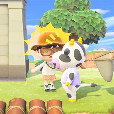 the new animal crossing update is insane!! me and tipper are shocked and definitely so excited for the new gameplay!! 
#newhorizons #animalcrossingnewhorizons #animalcrossing #acnh #acnhdirect