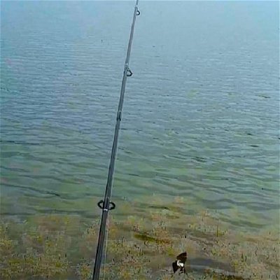 Efsaneyi hatırlayalım
#balık #balıkavı #olta #oltabalıkçılığı #oltabalıkçıları #lrf #lrflightrockfishing #mavigöl #ankara #fishing #fish #baitcasting #baitcaster #lakefishing #lake