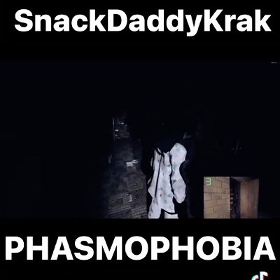 #phasmophobia #pc #spooky #twitchstreamer #oithelads #snackdaddy #scary
