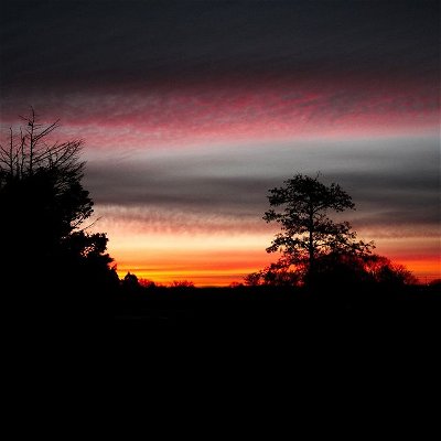 Photo by BZ MEDIA on January 28, 2022. May be an image of nature, tree, sky and twilight.
