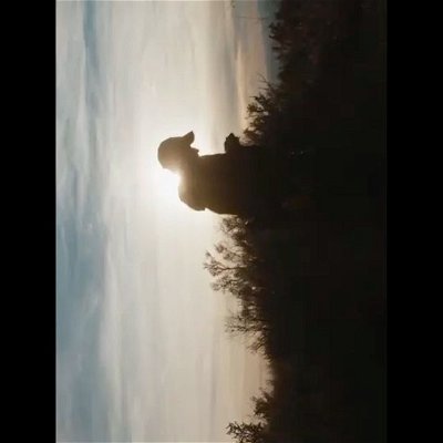Click through and turn your phone!

Sound on!

@landphil_collins and I have been in the same quarantine cluster so we took a hike in the foothills with my #anamorphic #diy rig and my #bmpcc4k. Music: “Tree Synthesisers” by Jonny Greenwood