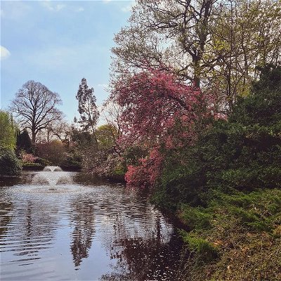 Hello lovelies!
Hope you're all having a great Easter weekend!

I'm currently in Shrewsbury spending time with family and I absolutely love being down here!

What are you guys up to this Easter? Eat the chocolate, have the nap, life is too short 😚
.
.
.
#Shrewsbury #lifestyle #uktravel #Shropshire #dingleshrewsbury #Gardens #spring #Easter #goodfriday #gamingcommunity #bookstagram