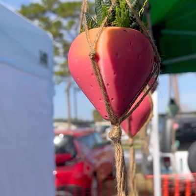 Had a great time at the Strawberry Fest! DM us if you’re in the Melbourne, FL area and want to buy the large planted strawberry pot!

We have some small planted strawberries in glitter pink, pastel pink and rose gold available as well 🍓

#strawberry #strawberrydecor #strawberrylove #strawberry🍓 #printapot