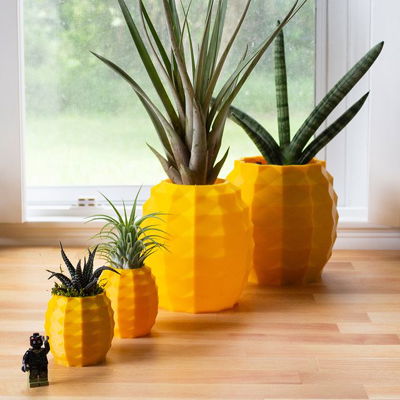 We have a variety of pineapple planters for your tropical decor!⁠
⁠
⁠
⁠
⁠
⁠
#pineapplepot #pineapple #aloe #succulent #succulentplanter #succulover #pineappledecor #tropical #pineappleplanter #pineapplelove #printapot