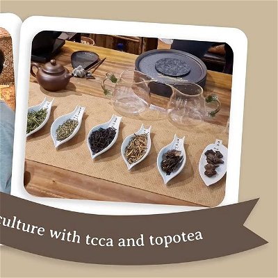 Hope everyone is having a great Monday so far!🥳 Here's some of our highlights from last week's event with @uts_tcca where our members could learn about ten different types of tea and watch a tea master prepare them!🍵

.
.
.
.
.
#uts #activateuts #cafeclub #tcca #chinesetea #tea #topotea