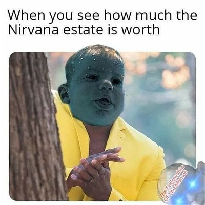 Photo by Rabbit In Red on August 27, 2021. May be a meme of one or more people and text that says 'When you see how much the Nirvana estate is worth Fellowship OfTheMemes The Memes The of'.