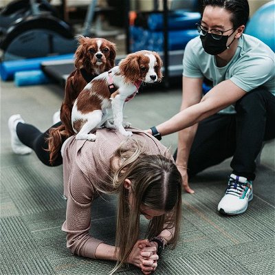 When you bring your dogs to work, but they never signed up for anything except belly rubs 😂

#calgary #calgaryphysio #physicaltherapy #physiotherapy #cavalier #cavalierkingcharlesspaniel #kingcharles #yycphysio #yyc