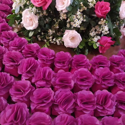 Uhulll!! Bem vividos para uma debutante muito princesa @_alycefelix