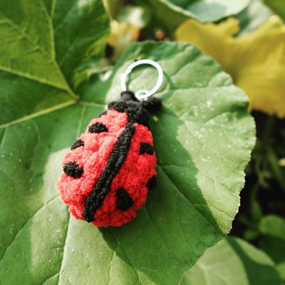 The crochet tutorial for the ladybug keychain is up on my YouTube channel! The link is in my bio. Be sure to check it out!