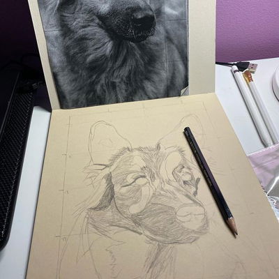 With January almost over I had to start this little guy! Hopefully it won’t take me too long to finish him. All that fur is gonna be a challenge. Hopefully he will be as furry as possible. #drawing #graphite #puppy #dog #workinprogress #pencils #hbpencil #fur #texture
