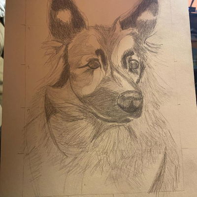 Update on my wip. His fur is finally starting to look like fur 😂. Love how is mask is turning out and adding some contrast. Hopefully by Valentine’s Day he’ll look more majestic. #dogdrawing #shepherd #art #pencildrawing #onedayatatime
#progress #progressnotperfection